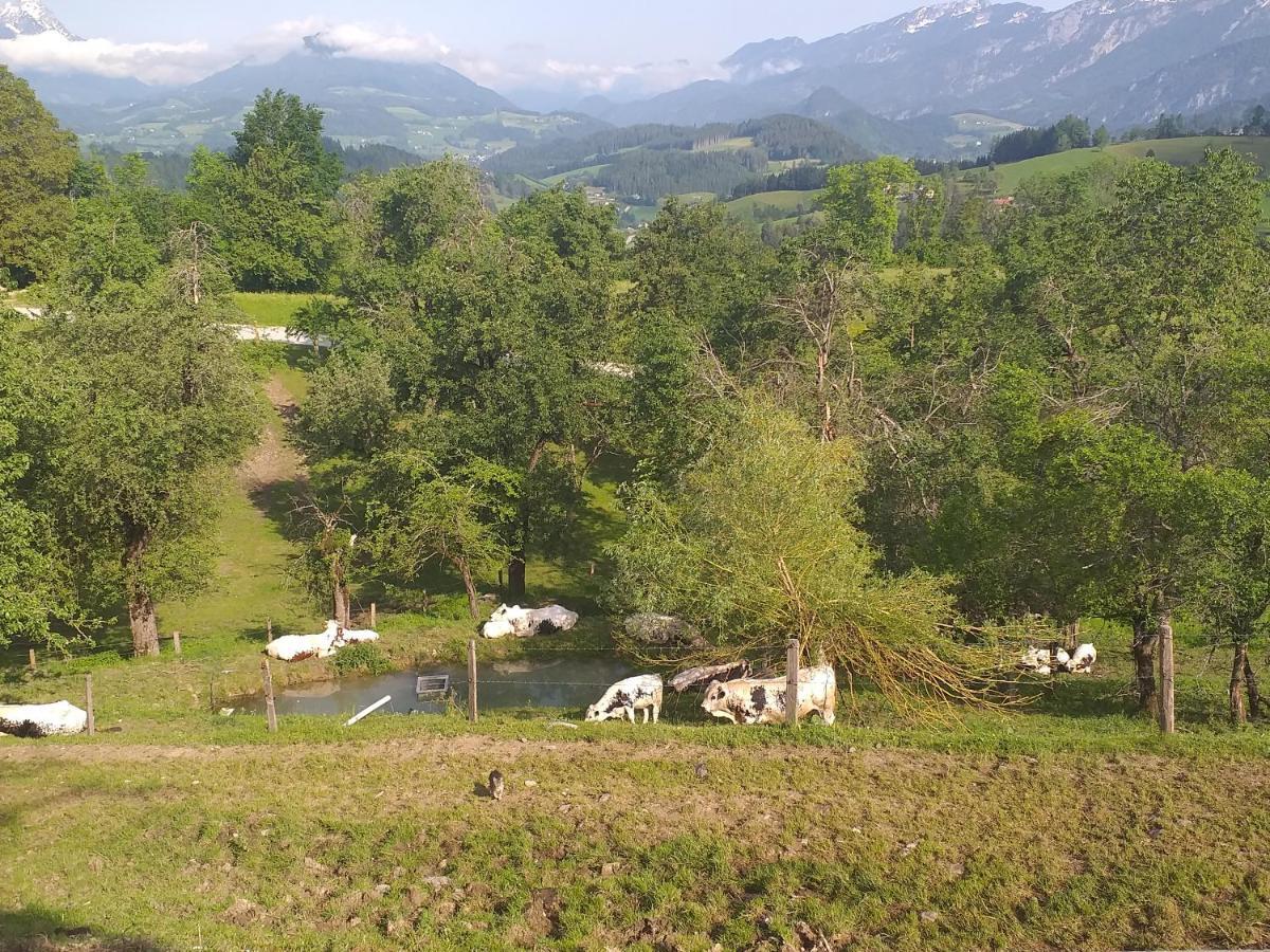 Landhotel Oberwengerhof Шпитал ам Пирн Екстериор снимка